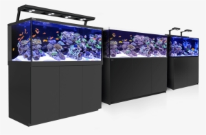 Sign Up To Join Our Red Sea Internet Community - Red Sea Reefer 450 Aquarium (black)