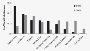 Percent Contribution Of Each Fish Group To Total Fish - Histogram
