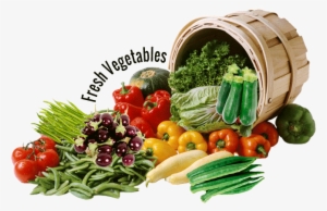 Trusted Name World Wide Exports & Imports - Fruits And Vegetables Png