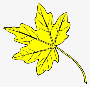 Fall Leaves Drawing Png