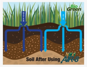 Lawn Aeration - Lawn Aeration Graphic
