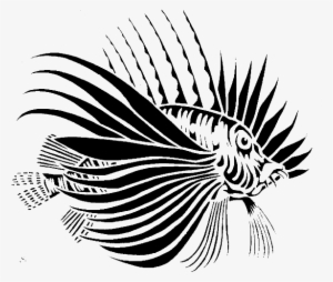 The Centre For Conservation Geography Is A Research - Conservation