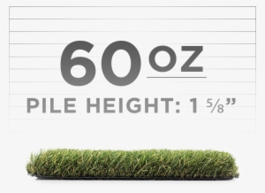 Brown/green • Roll Width - Broughton's Rules Bounty Hunter 1853