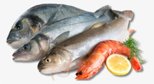 We Also Offer Complimentary Fish Frying At All Of Our - Fish And Seafood Png