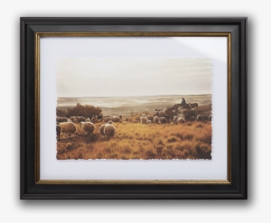 The Grass Is Greenest Where I Am Standing - Christmas Day