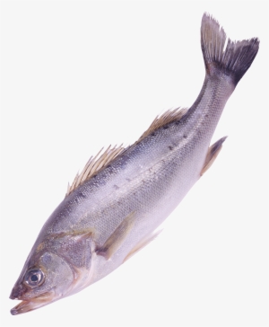 Fish Four - Png Format Fishes Png