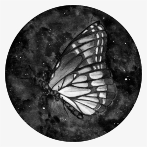 The Medium Used For This Project Was Watercolour And - Portfolio