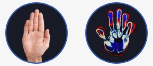 Take A Look At These Pictures - America De Cali Brs