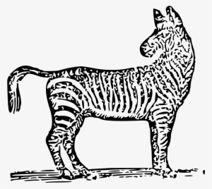 Open - Illustration