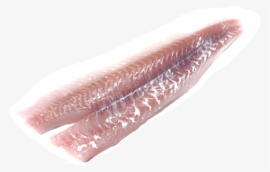 Fresh Pollock Fillet - Alaska Pollock
