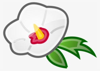 240 × 240 Pixels - Rose Of Sharon Clipart