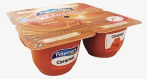 0678 Cd Paturette Caramel X4 - Chocolate Ice Cream