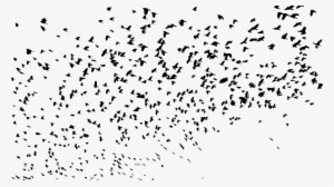 Flock, Birds, Animals, Flying, Silhouette, Svg - Flock Of Birds Silhouette Png