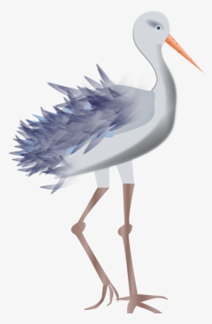 Bird - Bird Legs Clipart