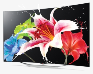 Lg 55 Inch - Oled Curved Tv Png