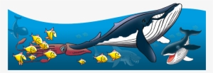 All The Flying Creatures - Striped Dolphin