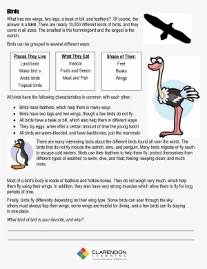 S-introduction To Birds - Common Characteristics Of Birds