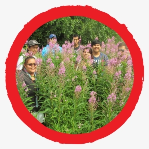 “we Brought Back Culture And Traditions Of The Gitxsan - Trust