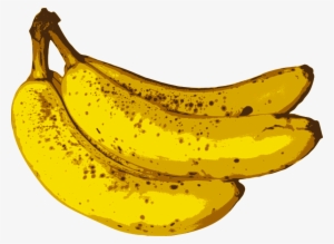 Medium Image - Banana Fruit