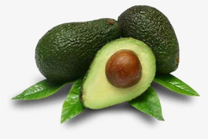Banana Bunch - Avocado Hd