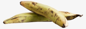 Free Png Banana Png Images Transparent - Plantain Png