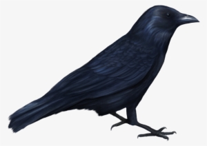 Bird-056 - Bird Halloween Png