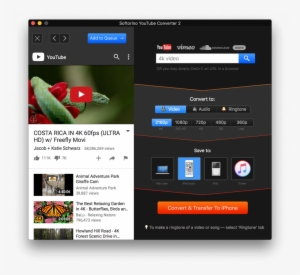 Syc 2 Will Help You Download 4k Youtube Videos - Softorino Youtube Converter
