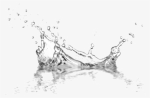 The Unique Ingredients Are Targeted To Counteract The