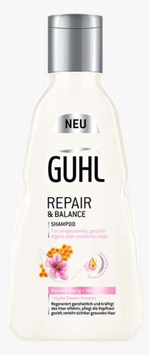 Shampoo