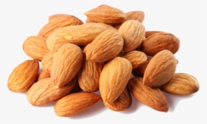 Almond Free Png Image - Almond Free Png