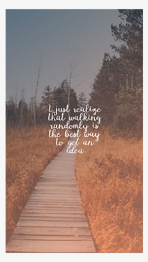 Social Media Story - Social Media