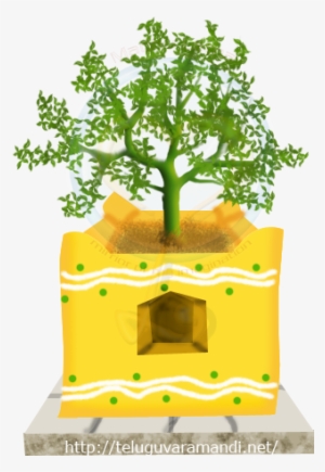 In 'agasya Samhita' Tulasi Is Mentioned With Great - Tulsi Plant Png Hd