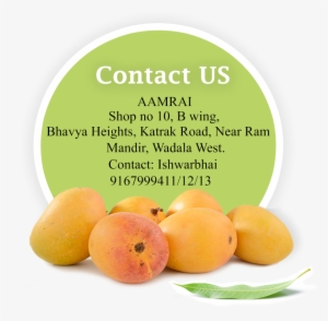 For Bulk Orders Or Any Query - Alphonso