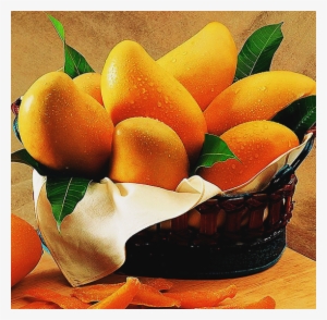 Aphonso Mango Pulp - 100% Real Mango Fruit Seeds,rare Delicious Fruit Seed,