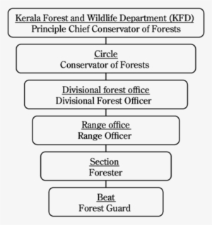 Forest Management Organization In Kerala - Organization