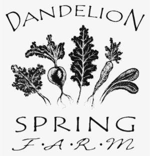 Organic Vegetables, Herbs, And Meats Raised In Midcoast - Organic Farm