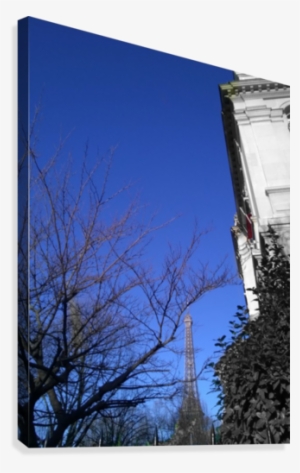 Eiffel Tower Paris Black And White With Color Canvas - Architecture