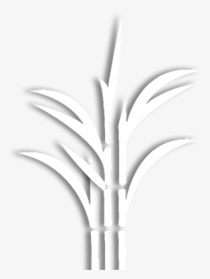 Grass