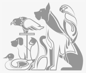 Innova Food & Pharma Is A Hnh Group Company - Facebook