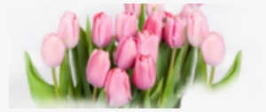 Flowers In Sheppey - Flower