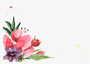 Hand Painted Safflower Flowers And Plants - Flower Border