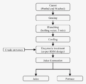 Flow Sheet For The Enzyme Assisted Carrot Juice Expression - Blanching And Enzym Treatment Carrot Juice