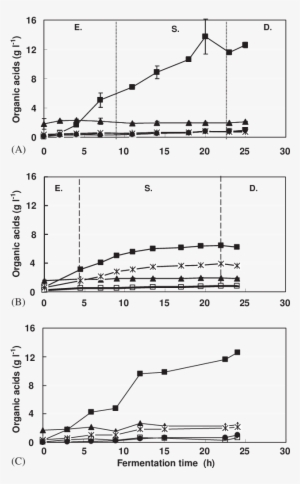 Levels Of Organic Acids In Carrot Juice Fermented (type - Diagram