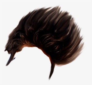 Hair Png - Image Editing