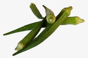 Bhindi Ladies Finger - Okra