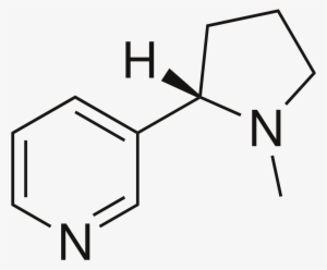 Nicotine Structure