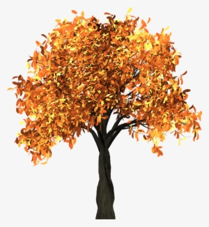Tree, Leaves, Autumn, Fall, Branches, Isolated, Nature - Herbst Baum Transparent