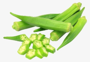 Ladies Finger - Lady Finger