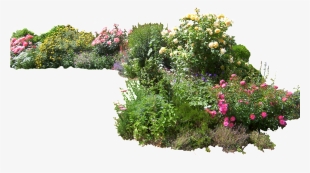 Flower Garden Png - Plants Png