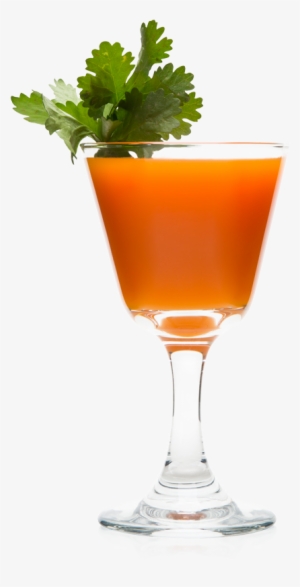 Combining Smooth Diplomatico Mantuano Rum And Zingy - Diplomatico Mantuano Cocktails